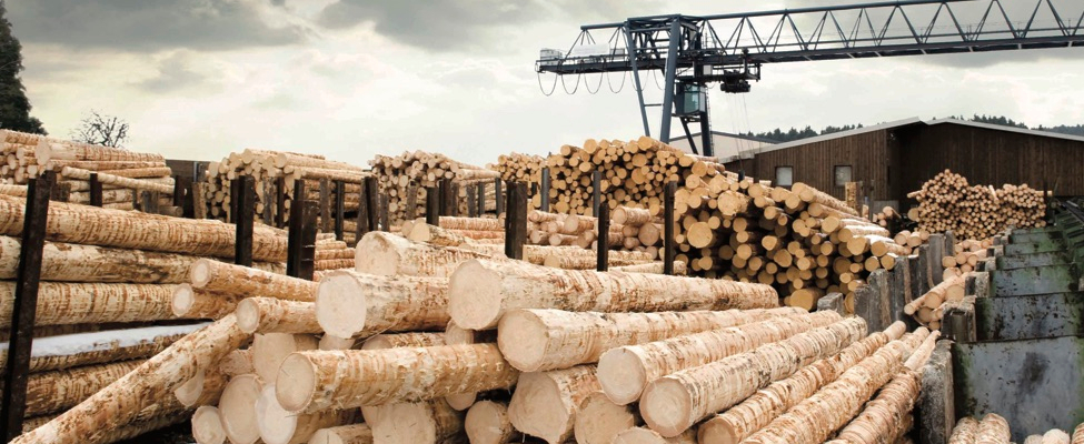 EU Deforestation Regulation (EUDR)