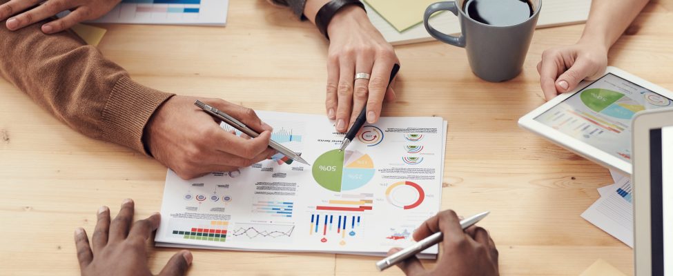 V-label audit service