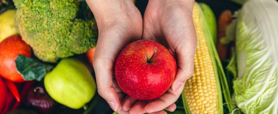 HACCP ja GMP: elintarvikkeiden turvallisuuden ja laadun pilarit