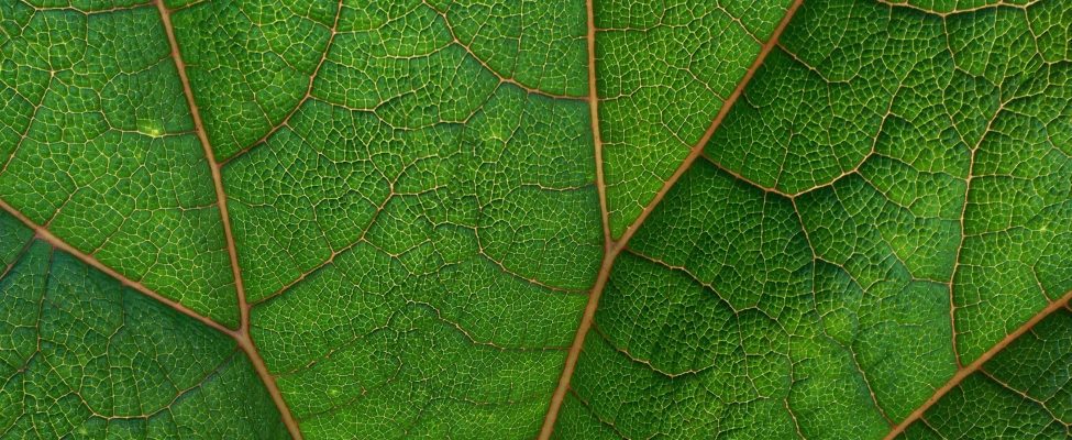 BM Certification uzyskuje akredytację ISO 17029:2020 i ISO 14065:2022