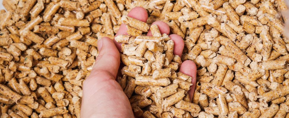 ENplus® Certification for Wood Pellets