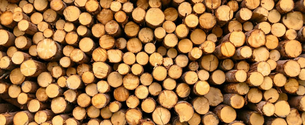 BM Certification Receives Accreditation for FSC®  Chain of Custody Certification